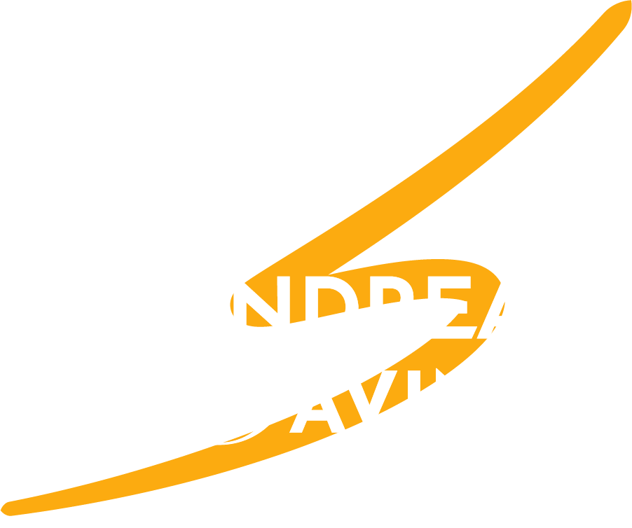 Andrea Cavina